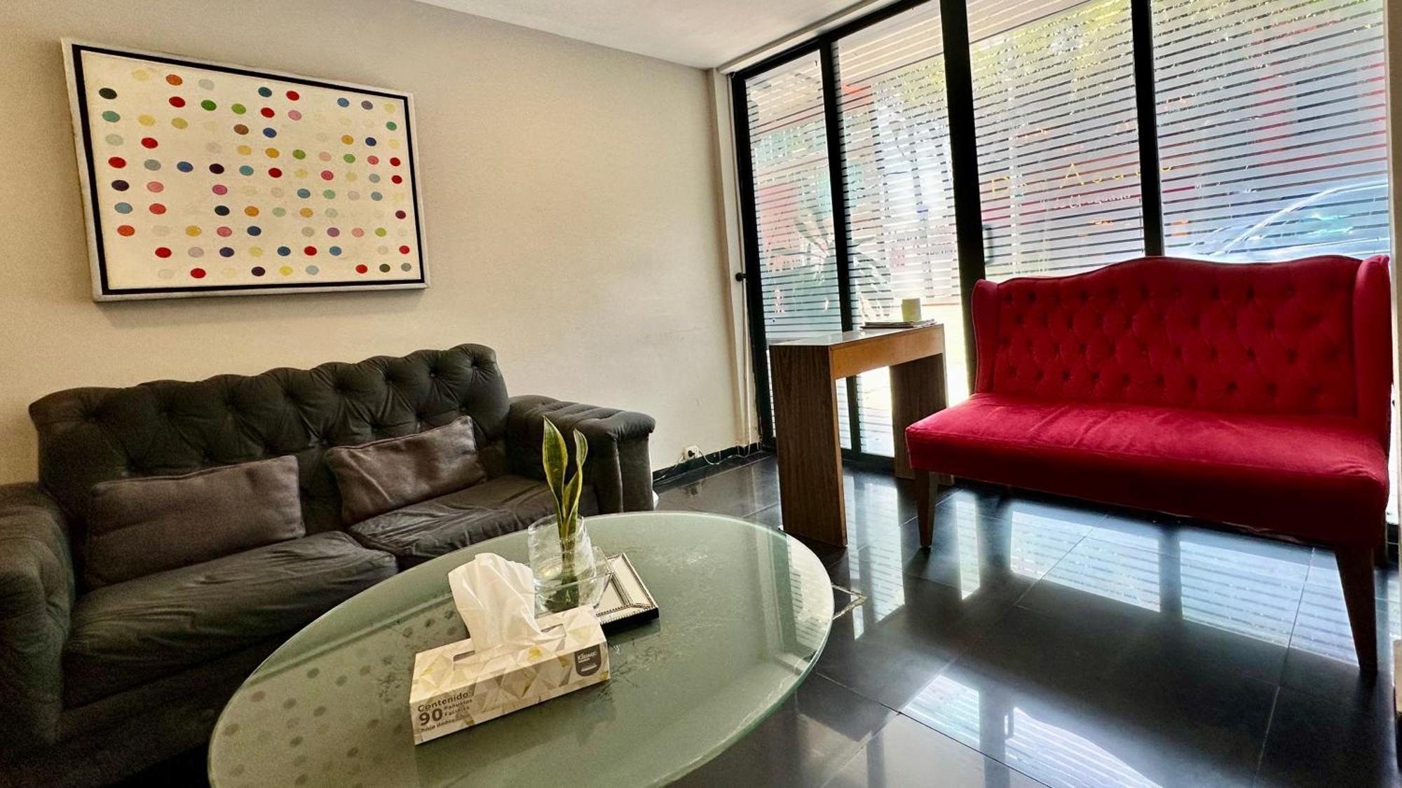 Suites Lerma 205 멕시코 시 외부 사진