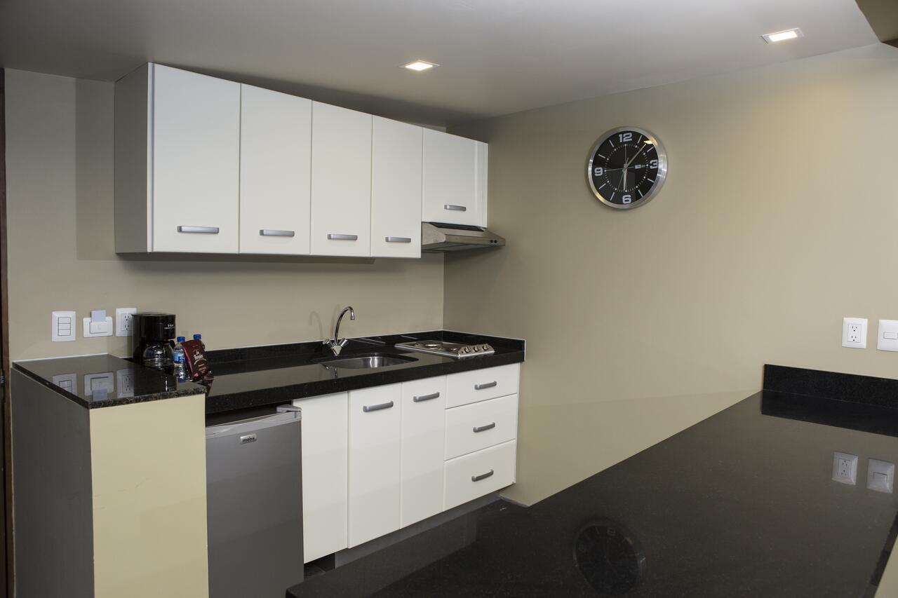 Suites Lerma 205 멕시코 시 외부 사진